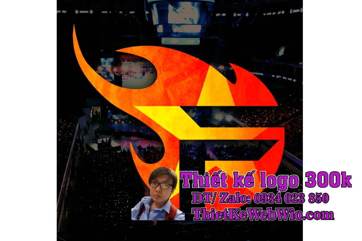 Logo team flash Logo team flash