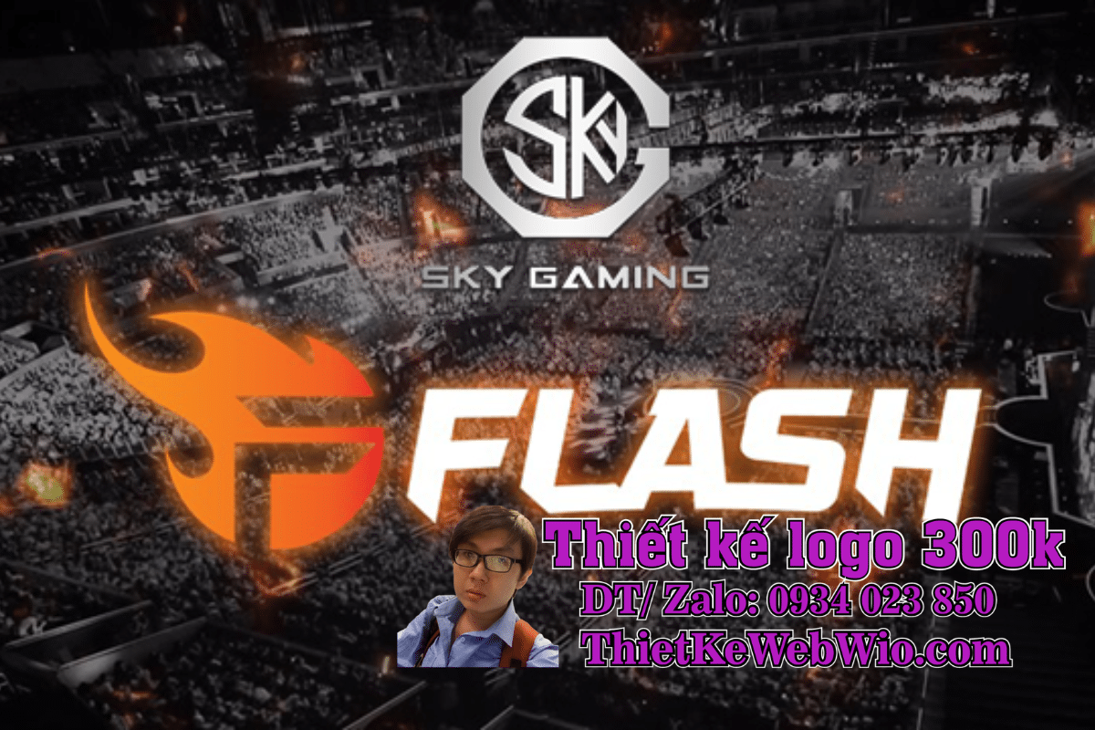Logo team flash Logo team flash