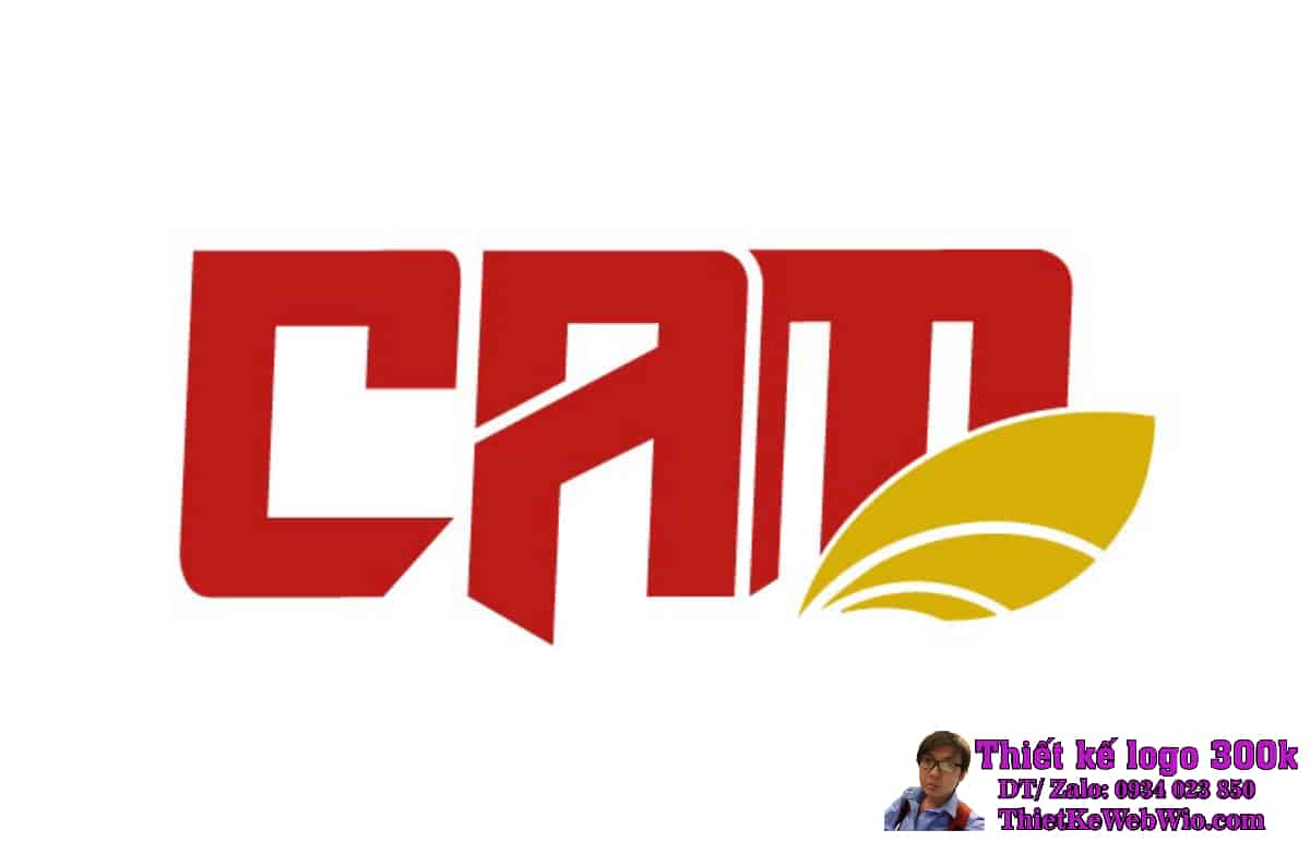 Thiết Kế Logo Đầu Tư và Thương Mại CAM Thiết Kế Logo Đầu Tư và Thương Mại CAM