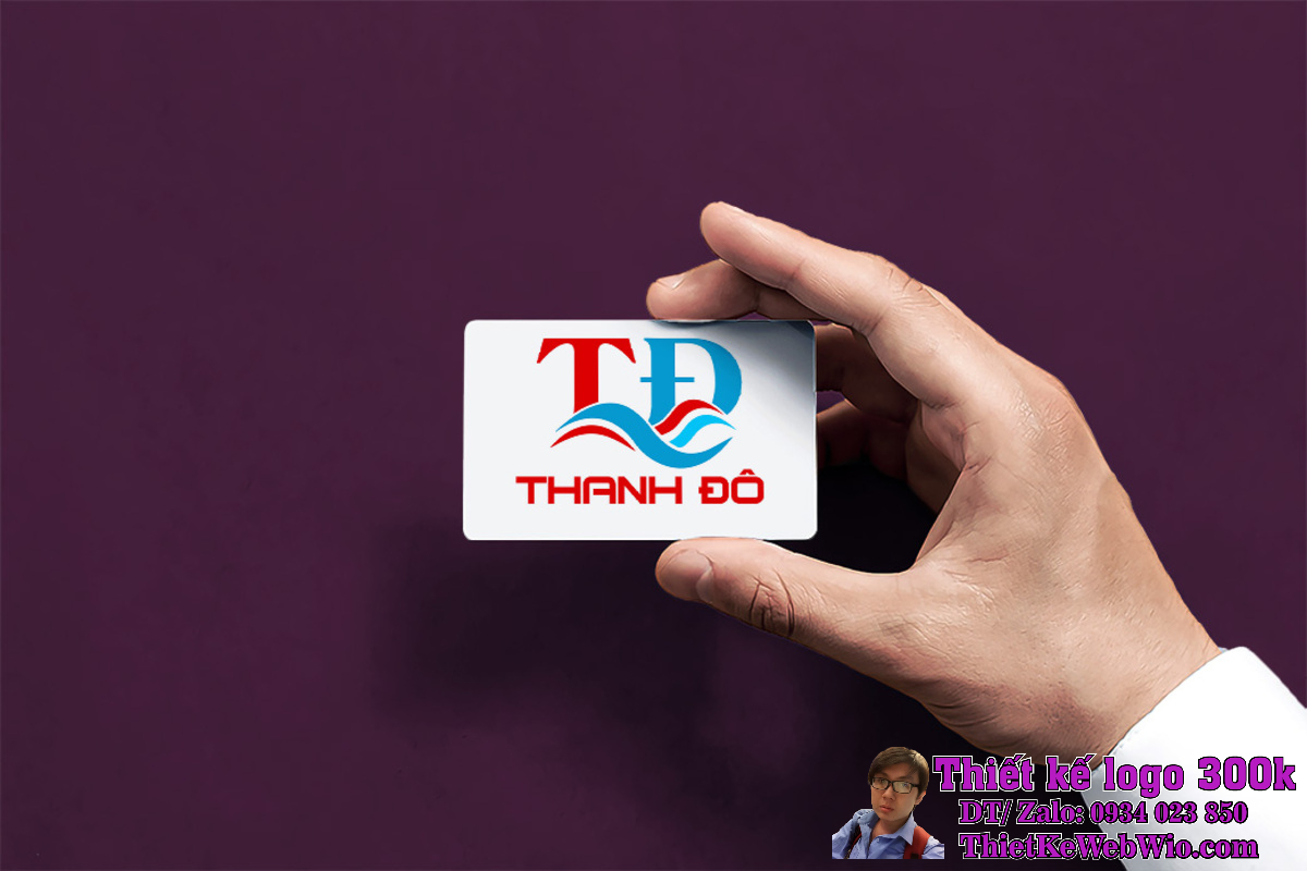 Thiết Kế Logo Thanh Đô Thiết Kế Logo Thanh Đô