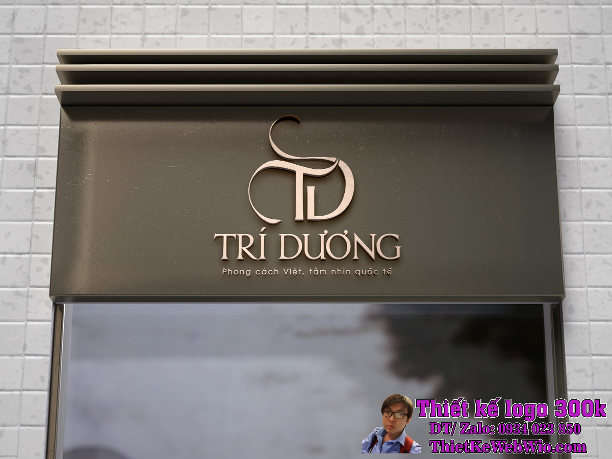 Thiết kế logo Trí Dương Thiết kế logo Trí Dương