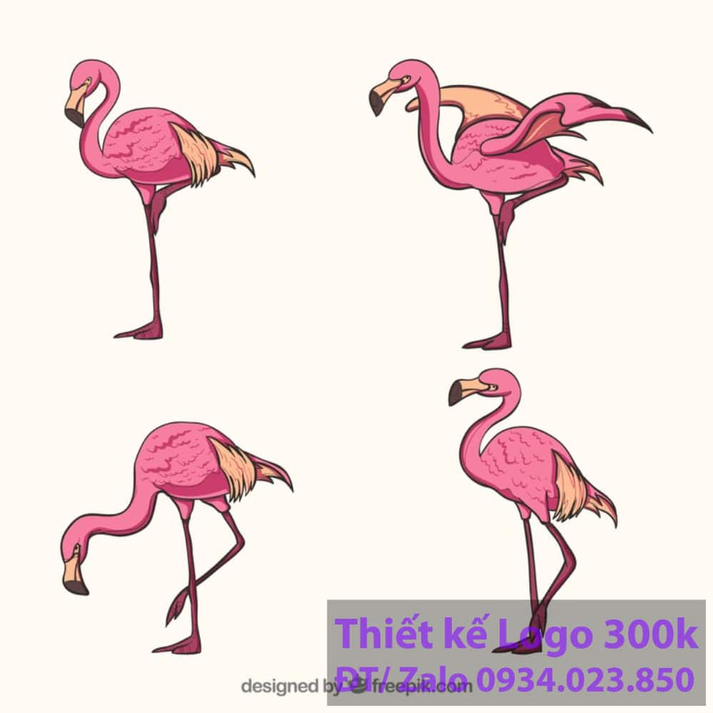 Thiết kế logo con chim hạc Thiết kế logo con chim hạc