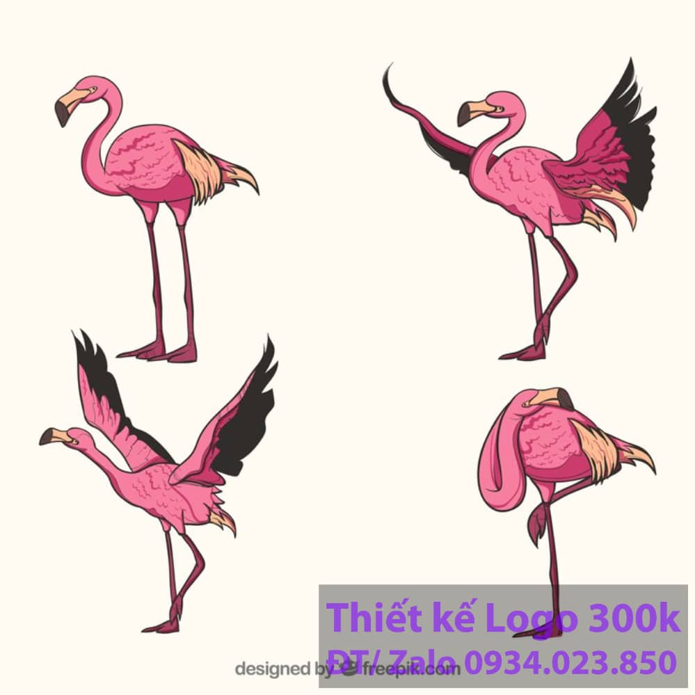 Thiết kế logo con chim hạc Thiết kế logo con chim hạc
