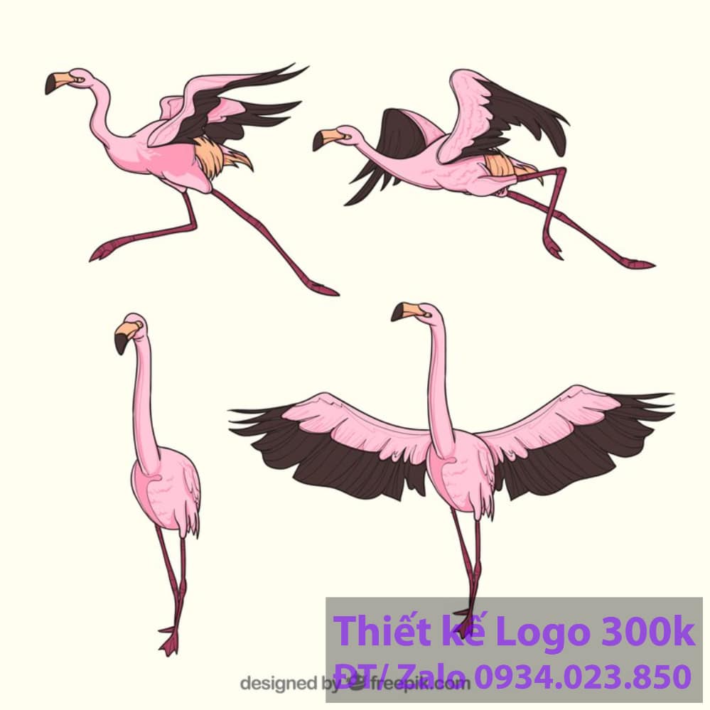Thiết kế logo con chim hạc Thiết kế logo con chim hạc