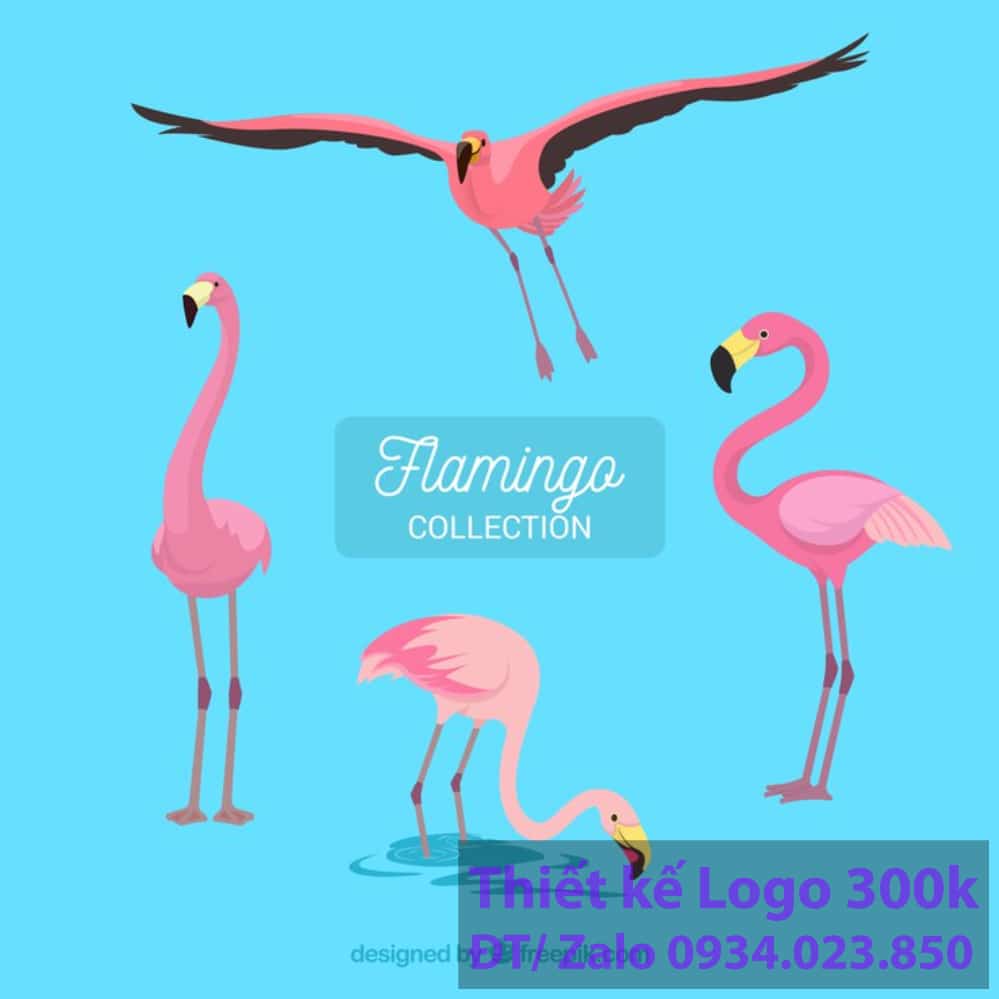 Thiết kế logo con chim hạc Thiết kế logo con chim hạc