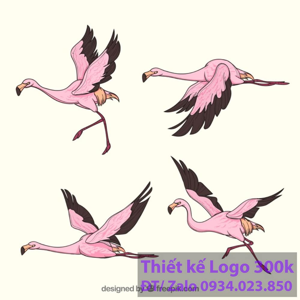 Thiết kế logo con chim hạc Thiết kế logo con chim hạc