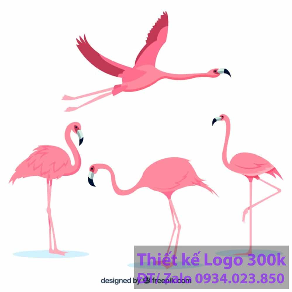 Thiết kế logo con chim hạc Thiết kế logo con chim hạc