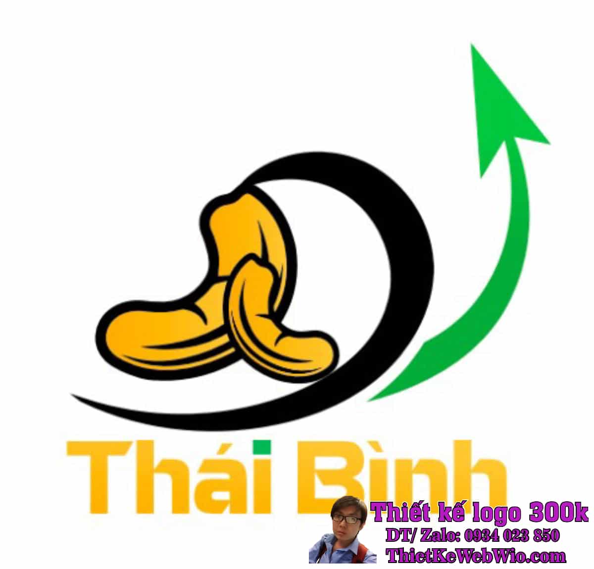 Thiết kế logo hạt điều Thái Bình Thiết kế logo hạt điều Thái Bình