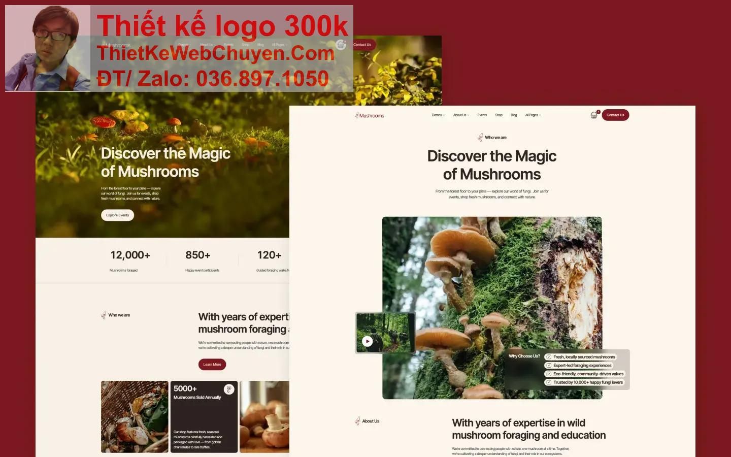 Thiết kế web bán nấm lim xanh chuyên nghiệp Thiết kế web bán nấm lim xanh chuyên nghiệp