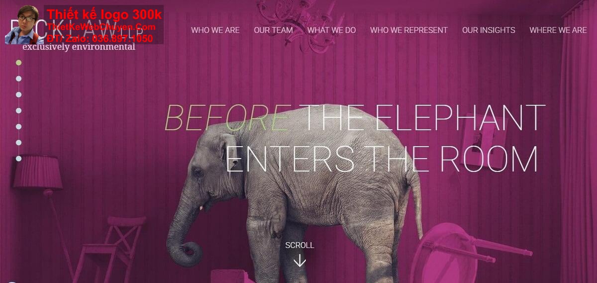 Thiết kế web tại Phú Thọ chuyên nghiệp Thiết kế web tại Phú Thọ chuyên nghiệp