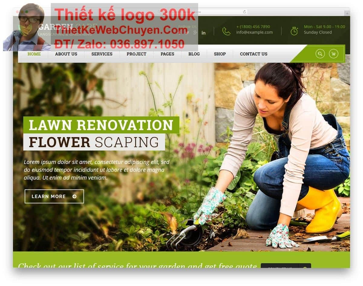 Thiết kế web thi công cảnh quan sân vườn chuyên nghiệp Thiết kế web thi công cảnh quan sân vườn chuyên nghiệp
