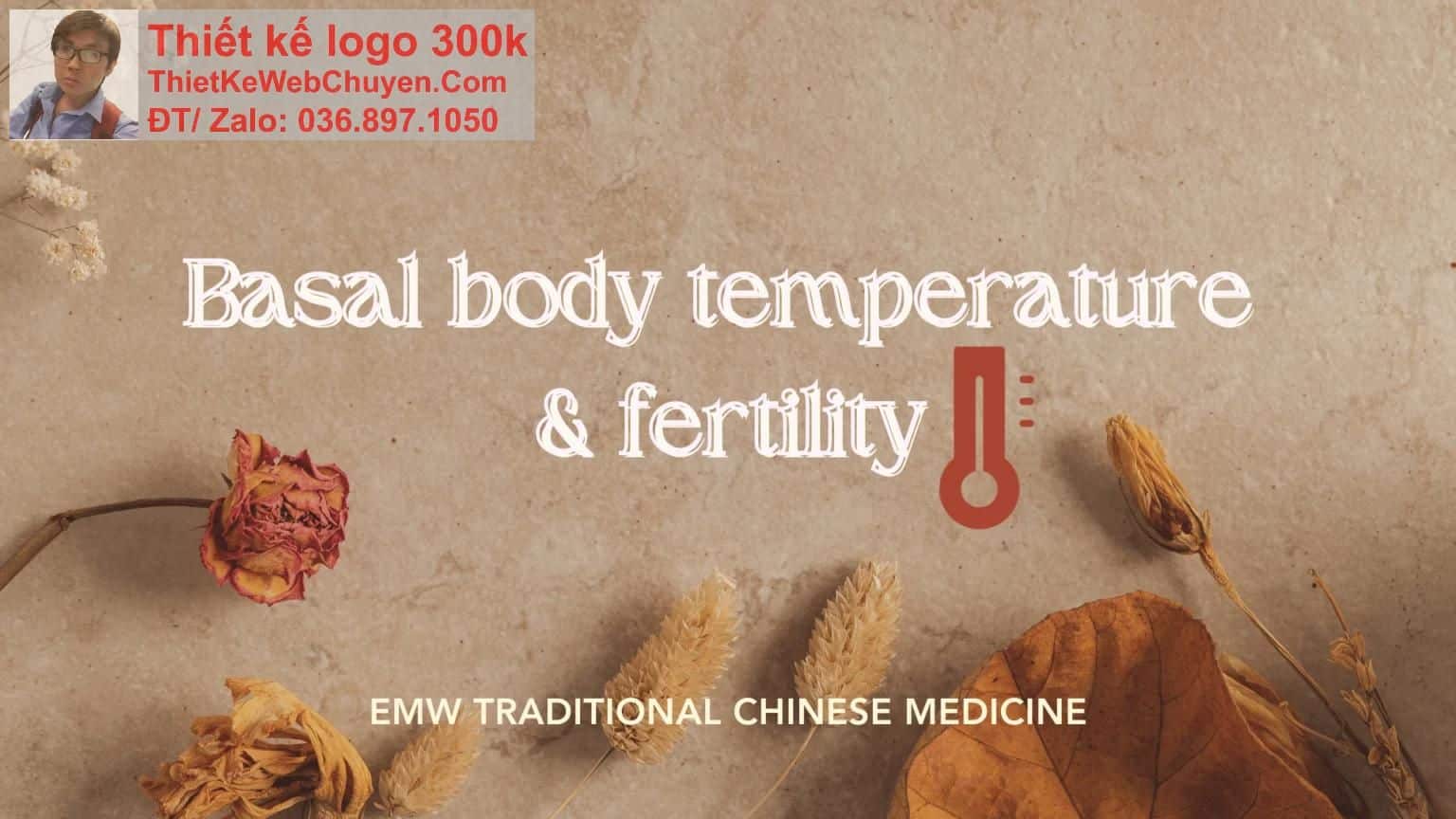 Thiết kế web đông y chuyên nghiệp Thiết kế web đông y chuyên nghiệp