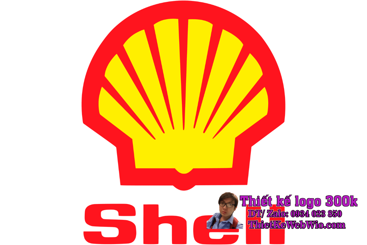 Shell logo, GIÁ RẺ 300K 500K ĐẸP CHUYÊN NGHIỆP - WIO