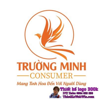Thiết Kế Logo Đa Lĩnh Vực Trường Minh Consumer