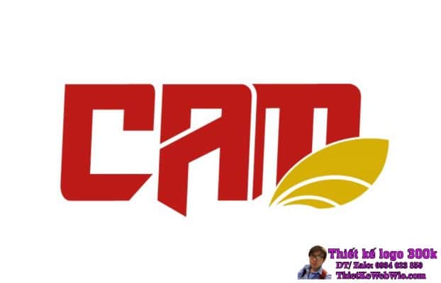 Thiết Kế Logo Đầu Tư và Thương Mại CAM