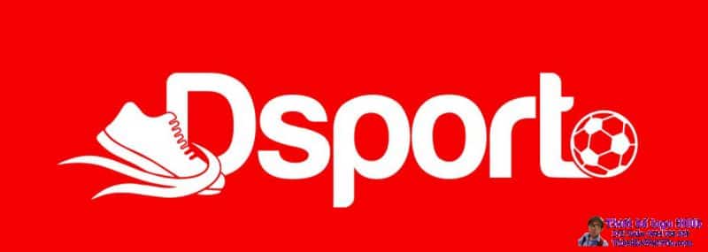 Thiết Kế Logo Giày Thể Thao Dsport