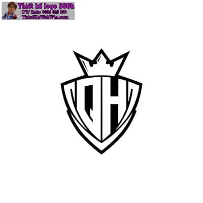 Thiết kế logo QH