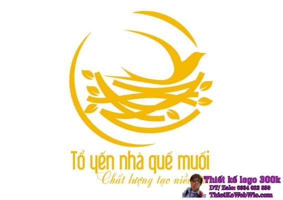 Thiết kế logo Tổ Yến Nhà Quế Muối