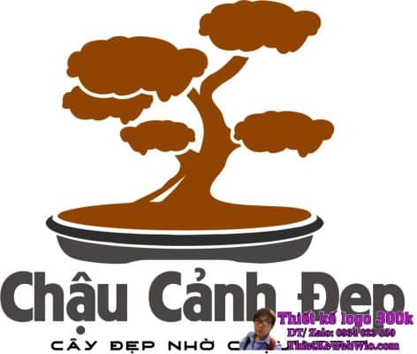 Thiết kế logo chậu cây Chậu Cảnh Đẹp