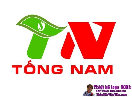 Thiết kế logo tài chính Tống Nam