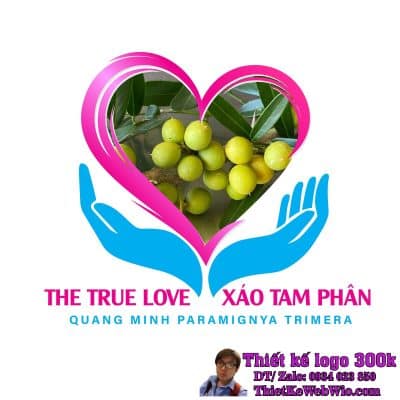 Thiết kế logo trái cây The True Love