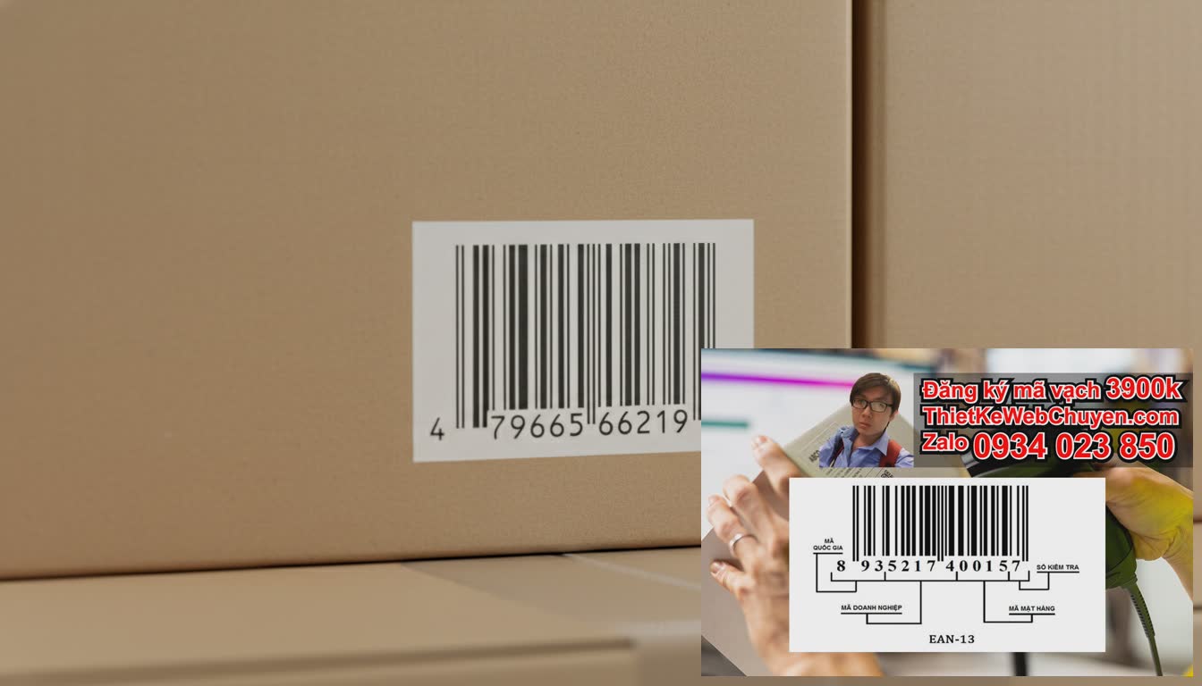 Vị Trí Đặt Mã Vạch Trên Hộp Giấy Tối Ưu Nhất Là Ở Đâu?