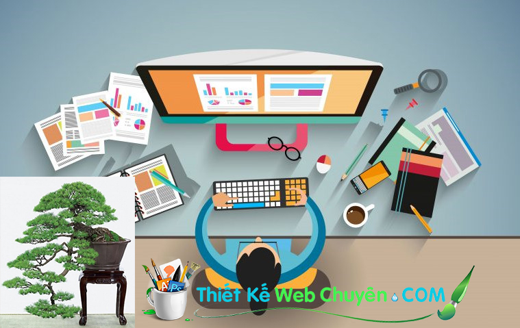 thiết kế web chuyên
