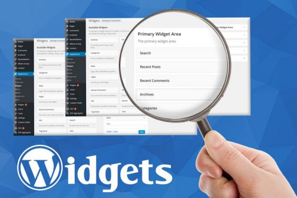 Widget Wordpress là gì